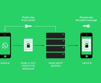 Transforme Seus Negócios: Como a API Oficial do WhatsApp e a Automação de IA Podem Impulsionar Suas Vendas