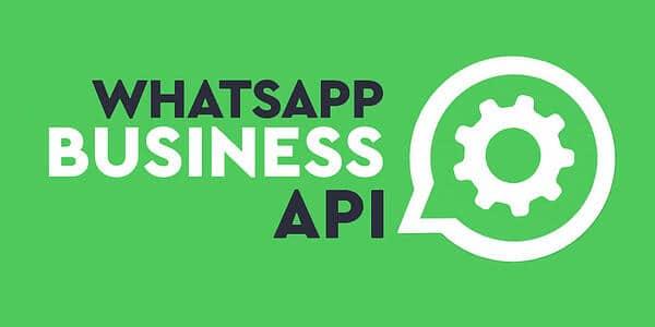 Conectando-se ao futuro: A Importância da API oficial do WhatsApp