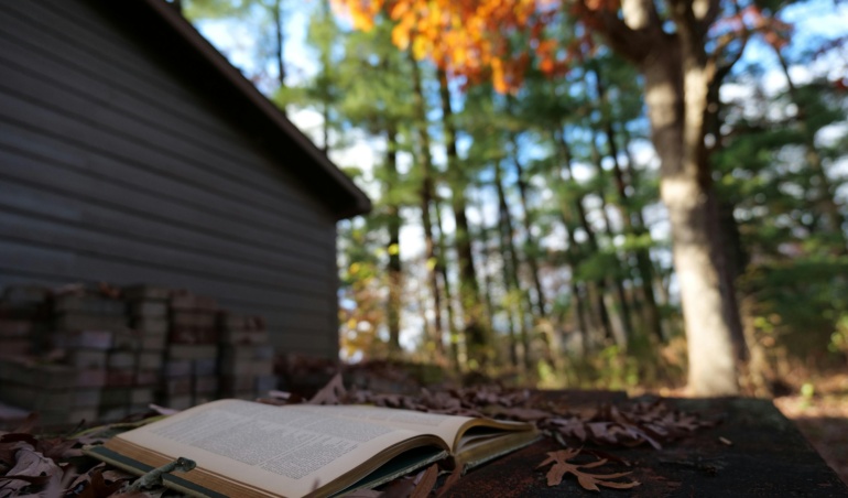 Descubra Como a Automação de IA Transforma o Uso da API Oficial do WhatsApp